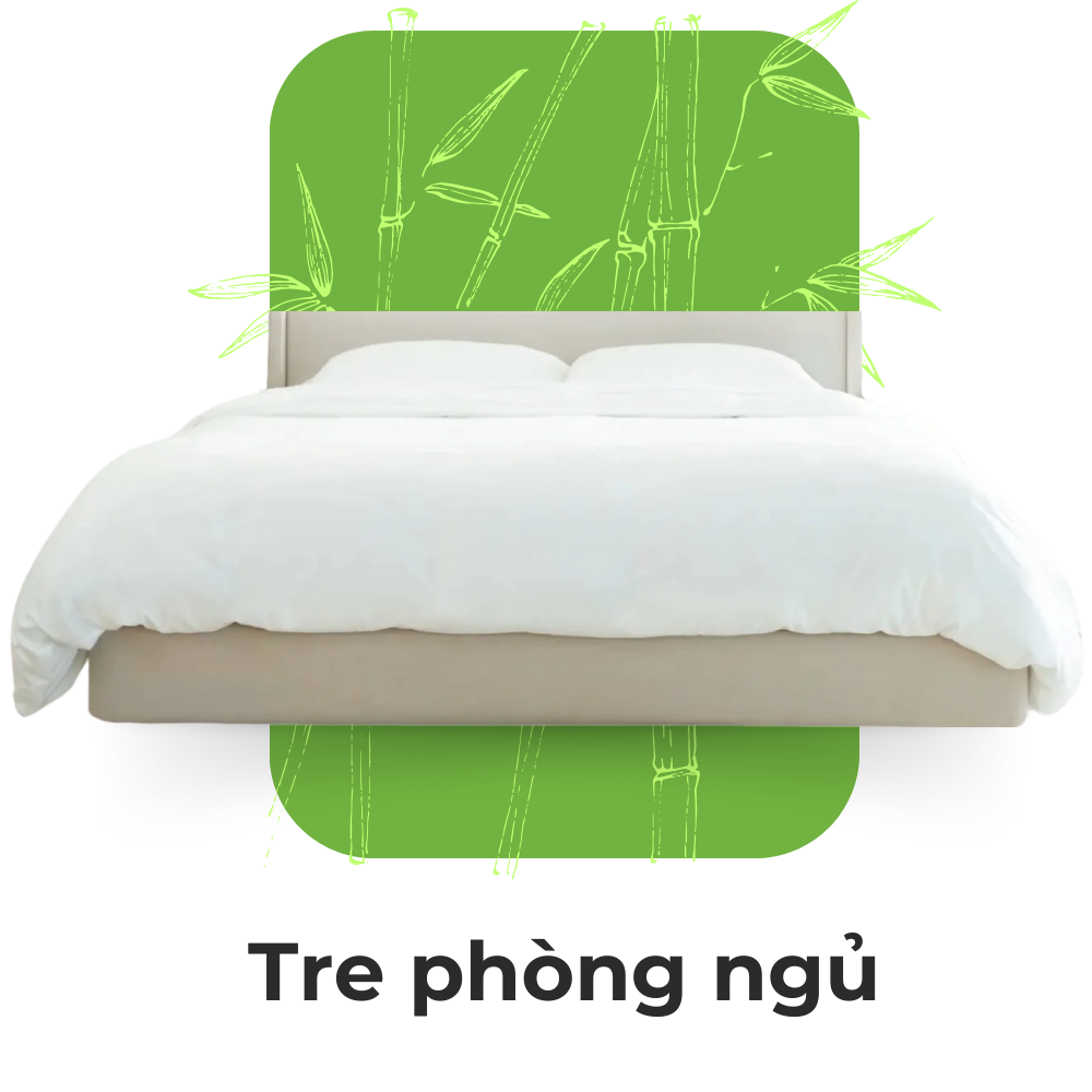 Chuyên mục tre phòng ngủ