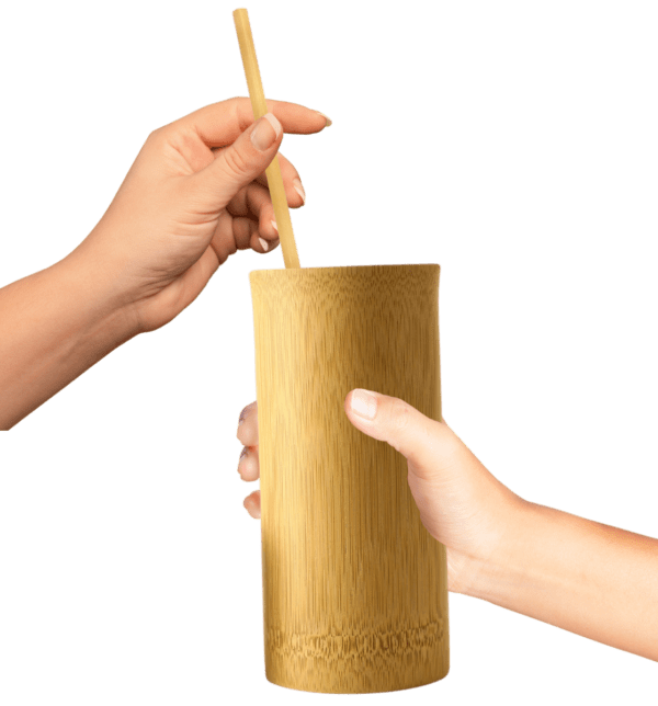 ly tre có ống hút tre